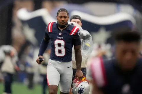 Stefon Diggs Biography Age, Net Worth, Family, Career Highlights & More
